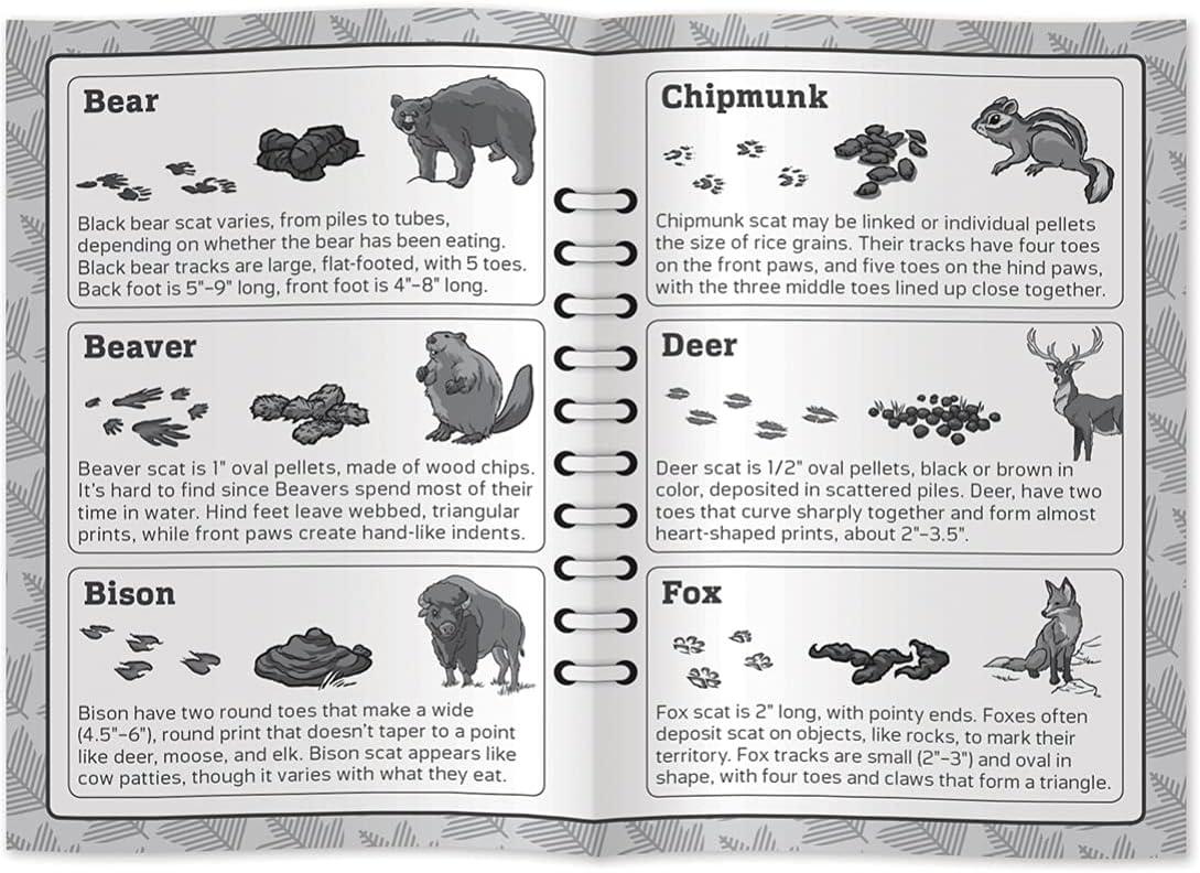imageMasterpieces Jr Ranger Poop Tracks Card Game Ages 6 26 Players Medium