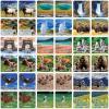 MasterPieces Kids Games – Jr Ranger Yellowstone Adventure Matching Game – Game for Kids and Family – Laugh and Learn