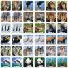 MasterPieces Kids Games – World of Animals Matching Game – Game for Kids and Family – Laugh and Learn