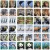 MasterPieces Kids Games – World of Animals Matching Game – Game for Kids and Family – Laugh and Learn