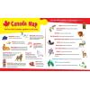 MasterPieces 60 Piece Educational Jigsaw Puzzle for Kids – USA Map State Shaped – 16.5″x12.75″(Canada Map)