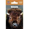 Bison