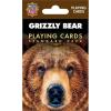 Grizzly Bear