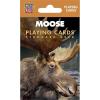 Moose