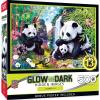 MasterPieces – 500 Piece Jigsaw Puzzle, Glows in The Dark, Hidden Images, Garden of Song, Fun for Adults, Family, Kids, 15″ x 21″(Shangri La)