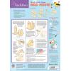 Works of Ahhh… Audubon Bird House Kit – Buildable Wood Paint Set for Kids – Complete Craft Kit with Paint & Sequins – Unisex, All Ages