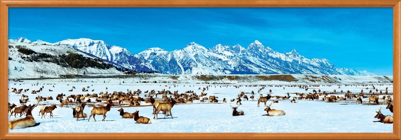 imageMasterPieces 1000 Piece Jigsaw Puzzle Boston Skyline Panoramic Fun for Adults Family Kids 13x39Elk Refuge
