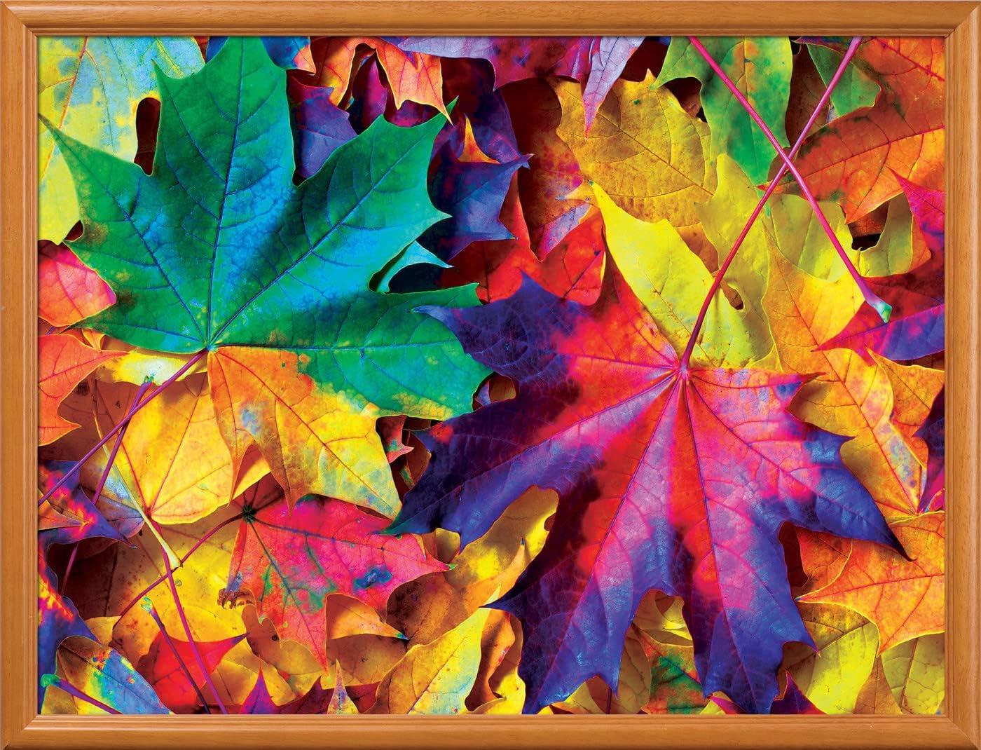imageMasterPieces 550 Piece Jigsaw Puzzle for Adults and Family Fall Frenzy 18x24Fall Frenzy
