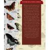 MasterPieces 1000 Piece Jigsaw Puzzle for Adults, Family, Or Youth – Butterflies of North America – 19.25″x26.75″(Butterflies)