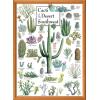 MasterPieces 1000 Piece Jigsaw Puzzle for Adults, Family, Or Youth – Butterflies of North America – 19.25″x26.75″(Cacti of the Southwest)