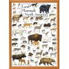 MasterPieces 1000 Piece Jigsaw Puzzle for Adults, Family, Or Youth – Butterflies of North America – 19.25″x26.75″(Mammals of North America)
