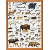 MasterPieces 1000 Piece Jigsaw Puzzle for Adults, Family, Or Youth – Butterflies of North America – 19.25″x26.75″(Mammals of North America)