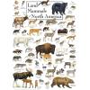 MasterPieces 1000 Piece Jigsaw Puzzle for Adults, Family, Or Youth – Butterflies of North America – 19.25″x26.75″(Mammals of North America)