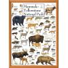 MasterPieces 1000 Piece Jigsaw Puzzle for Adults, Family, Or Youth – Butterflies of North America – 19.25″x26.75″(Mammals of Yellowstone)