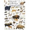 MasterPieces 1000 Piece Jigsaw Puzzle for Adults, Family, Or Youth – Butterflies of North America – 19.25″x26.75″(Mammals of Yellowstone)