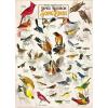 MasterPieces 1000 Piece Jigsaw Puzzle for Adults, Family, Or Youth – Butterflies of North America – 19.25″x26.75″(Songbirds)