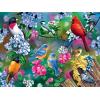 MasterPieces 300 Piece EZ Grip Jigsaw Puzzle – Feathered Reflections – 18″x24″(Songbird Collage)