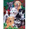 MasterPieces 300 Piece EZ Grip Jigsaw Puzzle – Fluffy Fuzzballs – 18″x24″(300 Piece)