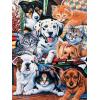 MasterPieces 300 Piece EZ Grip Jigsaw Puzzle – Hide and Seek – 18″x24″(300 Piece)