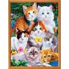 MasterPieces 300 Piece EZ Grip Jigsaw Puzzle – Purrfectly Adorable – 18″x24″(300 Piece)