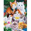 MasterPieces 300 Piece EZ Grip Jigsaw Puzzle – Purrfectly Adorable – 18″x24″(300 Piece)