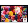 MasterPieces 550 Piece Jigsaw Puzzle for Adults and Family – Fall Frenzy – 18″x24″(Beautiful Blooms)
