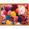 MasterPieces 550 Piece Jigsaw Puzzle for Adults and Family – Fall Frenzy – 18″x24″(Beautiful Blooms)