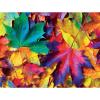 MasterPieces 550 Piece Jigsaw Puzzle for Adults and Family – Fall Frenzy – 18″x24″(Fall Frenzy)