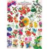 Garden Florals