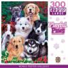 300 Piece
