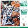 300 Piece