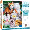 300 Piece