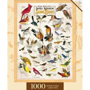 MasterPieces 1000 Piece Jigsaw Puzzle for Adults, Family, Or Youth – Butterflies of North America – 19.25″x26.75″(Songbirds)