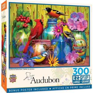 MasterPieces 300 Piece EZ Grip Jigsaw Puzzle – Feathered Reflections – 18″x24″(Feathered Reflections)