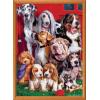 MasterPieces 1000 Piece Jigsaw Puzzle for Adults, Family, Or Youth – Sitting Pretty – 19.25″x26.75″(Sitting Pretty)