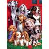 MasterPieces 1000 Piece Jigsaw Puzzle for Adults, Family, Or Youth – Sitting Pretty – 19.25″x26.75″(Sitting Pretty)