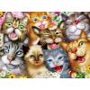 MasterPieces – 200 Piece Jigsaw Puzzle for Kids 8+ Years, #Selfies Wild Waves, Educational and Family Fun Game, Gift Idea for Children, 19″ x 14″(Pretty Kitties)