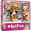 MasterPieces – 200 Piece Jigsaw Puzzle for Kids 8+ Years, #Selfies Wild Waves, Educational and Family Fun Game, Gift Idea for Children, 19″ x 14″(Pretty Kitties)