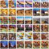 MasterPieces Officially Licensed National Parks Jr. Ranger Picture Matching Card Game for Kids and Families